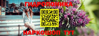 метадон Жуковский